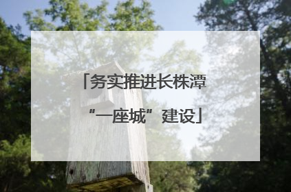 务实推进长株潭“一座城”建设