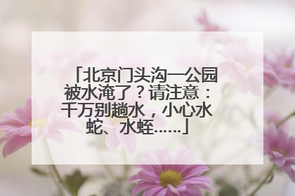 北京门头沟一公园被水淹了？请注意：千万别趟水，小心水蛇、水蛭……
