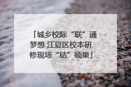 城乡校际“联”通梦想 江夏区校本研修现场“结”硕果