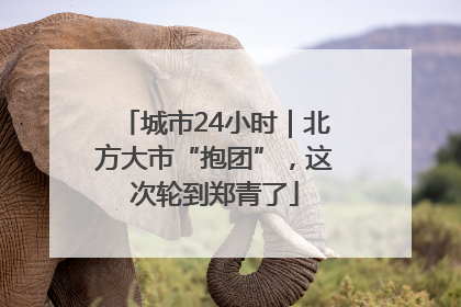 城市24小时｜北方大市“抱团”，这次轮到郑青了