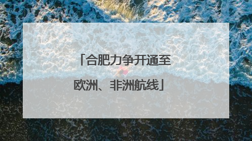 合肥力争开通至欧洲、非洲航线