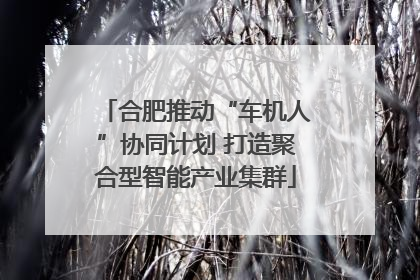 合肥推动“车机人”协同计划 打造聚合型智能产业集群