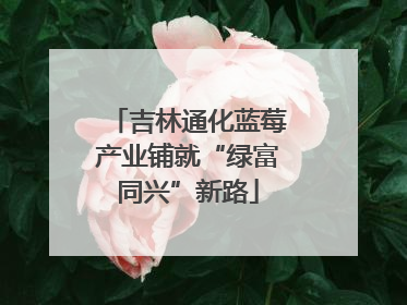 吉林通化蓝莓产业铺就“绿富同兴”新路