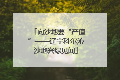 向沙地要“产值”——辽宁科尔沁沙地兴绿见闻
