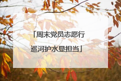 周末党员志愿行 巡河护水显担当