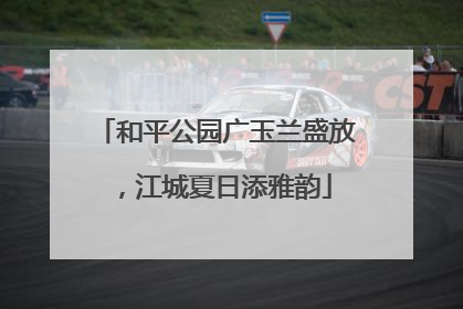 和平公园广玉兰盛放，江城夏日添雅韵