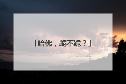 哈佛，跪不跪？