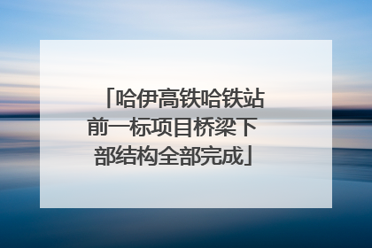 哈伊高铁哈铁站前一标项目桥梁下部结构全部完成