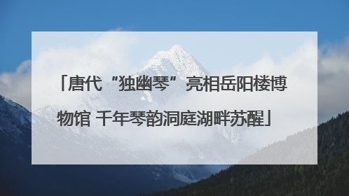 唐代“独幽琴”亮相岳阳楼博物馆 千年琴韵洞庭湖畔苏醒
