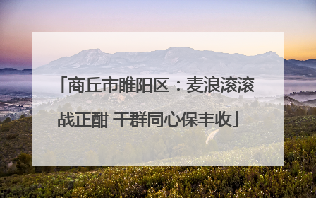 商丘市睢阳区：麦浪滚滚战正酣 干群同心保丰收
