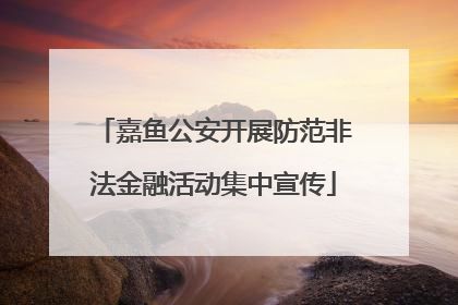 嘉鱼公安开展防范非法金融活动集中宣传