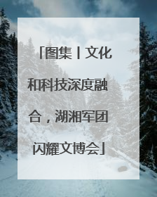 图集丨文化和科技深度融合，湖湘军团闪耀文博会