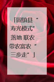 固镇县“寿光模式”落地 联农带农富农“三步走”