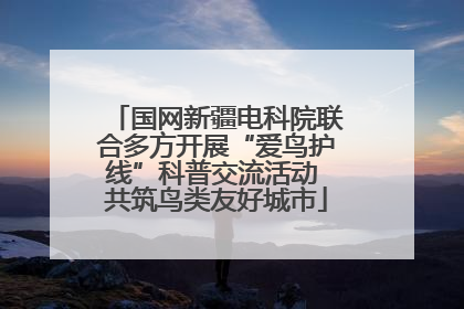 国网新疆电科院联合多方开展“爱鸟护线”科普交流活动 共筑鸟类友好城市