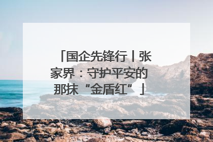 国企先锋行丨张家界：守护平安的那抹“金盾红”