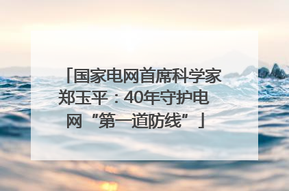国家电网首席科学家郑玉平：40年守护电网“第一道防线”