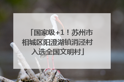 国家级+1！苏州市相城区阳澄湖镇消泾村入选全国文明村