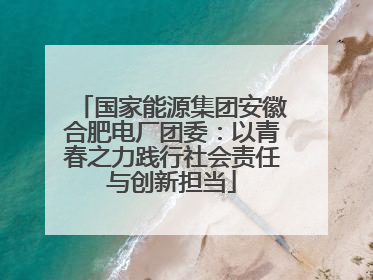 国家能源集团安徽合肥电厂团委：以青春之力践行社会责任与创新担当