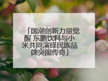 国潮创新力量觉醒 东鹏饮料与小米共同演绎民族品牌突围传奇