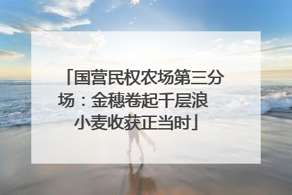 国营民权农场第三分场：金穗卷起千层浪 小麦收获正当时