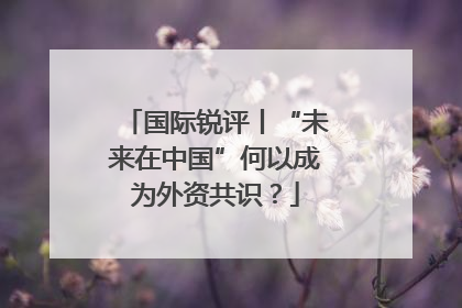 国际锐评丨“未来在中国”何以成为外资共识？