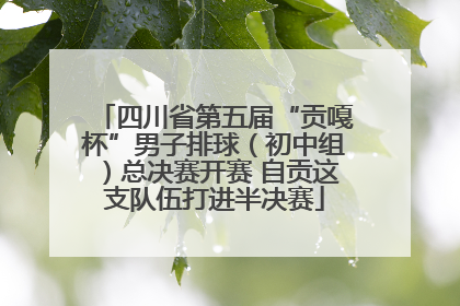 四川省第五届“贡嘎杯”男子排球（初中组）总决赛开赛 自贡这支队伍打进半决赛