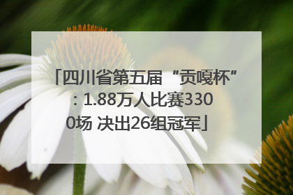 四川省第五届“贡嘎杯”：1.88万人比赛3300场 决出26组冠军