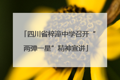 四川省梓潼中学召开“两弹一星”精神宣讲