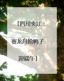 四川夹江：赛龙舟抢鸭子迎端午