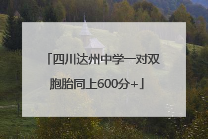 四川达州中学一对双胞胎同上600分+