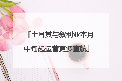 土耳其与叙利亚本月中旬起运营更多直航