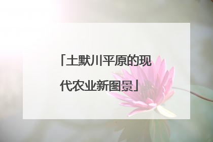 土默川平原的现代农业新图景