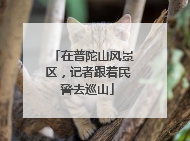 在普陀山风景区，记者跟着民警去巡山