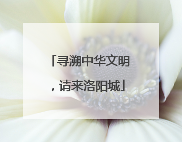 寻溯中华文明，请来洛阳城