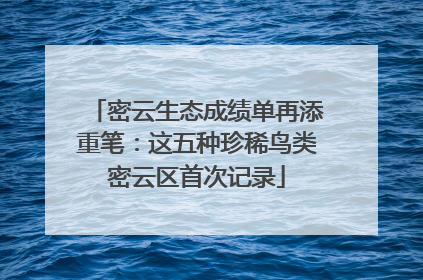 密云生态成绩单再添重笔：这五种珍稀鸟类密云区首次记录