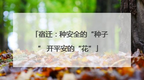 宿迁：种安全的“种子” 开平安的“花”