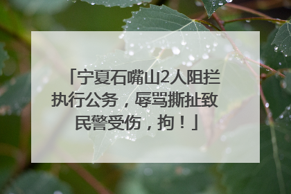 宁夏石嘴山2人阻拦执行公务，辱骂撕扯致民警受伤，拘！
