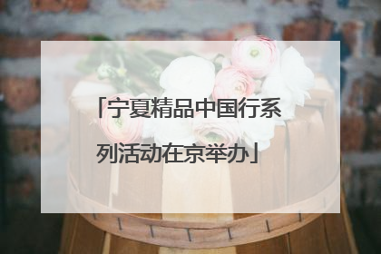 宁夏精品中国行系列活动在京举办