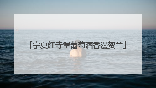 宁夏红寺堡葡萄酒香漫贺兰