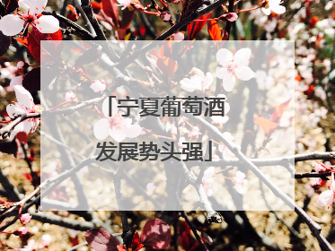 宁夏葡萄酒发展势头强