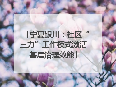 宁夏银川：社区“三力”工作模式激活基层治理效能