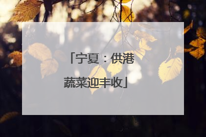 宁夏：供港蔬菜迎丰收