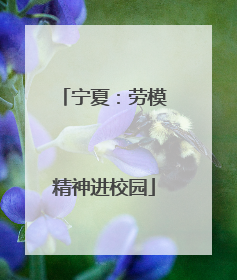 宁夏：劳模精神进校园