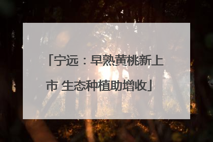 宁远：早熟黄桃新上市 生态种植助增收