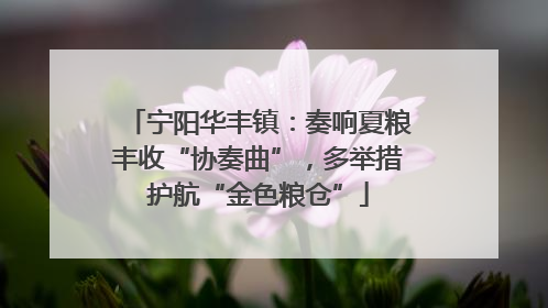 宁阳华丰镇：奏响夏粮丰收“协奏曲”，多举措护航“金色粮仓”