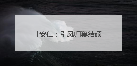 安仁：引凤归巢结硕果 产业兴旺促发展