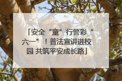 安全“童”行警彩“六一”！普法宣讲进校园 共筑平安成长路