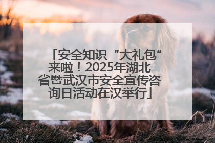 安全知识“大礼包”来啦！2025年湖北省暨武汉市安全宣传咨询日活动在汉举行