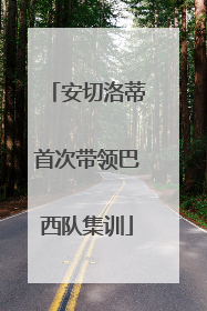 安切洛蒂首次带领巴西队集训