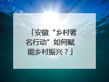 安徽“乡村著名行动”如何赋能乡村振兴？